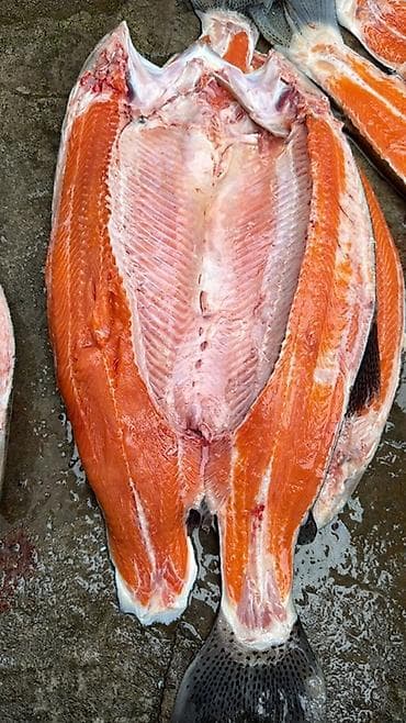 Форель 🍣(дикой лов), разделанный пластом - Форма разделки