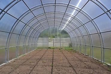 купить замиокулькас: Ассаламу алейкум Теплица ишин жакшы коргон,акчасы бар иштейт элек — 2