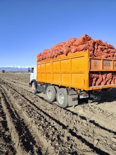 коробка опель вектра б: Грузовик, Новый — 6