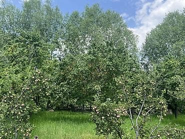 жаны уйлор: Срочно! Срочно! Продается Фазенда село Кара-Ой(Долинка) общая площадь — 8