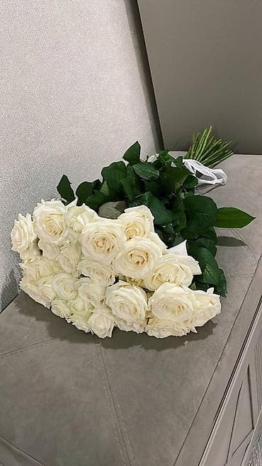 голандские розы: Голландские розы! От 70 см до 120 см — 3