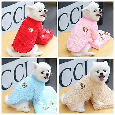 котята беловодск: Продаю новые вязанные новогодние желетки для кошек и собак,а так же — 5