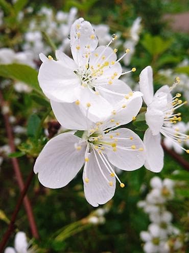 Детский кийимдер 1 жашка чейин 1 жаштан ойдо бекер самовывоз at lalafo.kg Детский кийимдер 1 жашка чейин 1 жаштан ойдо бекер самовывоз