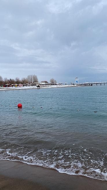 2 комнаты, 40 м², Элитка, 1 этаж, Евроремонт