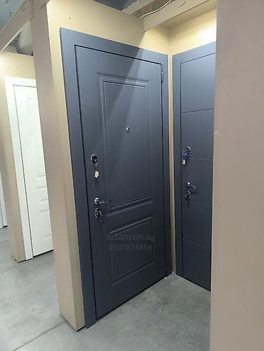 Үйлөр жана батирлер үчүн эшик, Металлдан, Күзгүсү менен, түсү - Боз