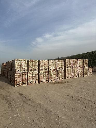 аренда инструментов арча бешик: Кирпич — 3