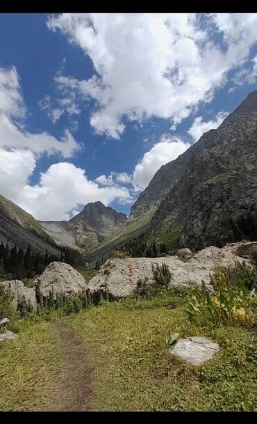 продаю дом село арашан: Дом, 75 м², 5 комнат — 36