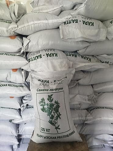 подушка для кормления бишкек: Семена кормовых растений: Люцерна — 8