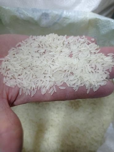 Жер-жемиштер: Ташкентский Лазер!! Ташкентский рис !!! Высший сорт Для ресторана и — 1