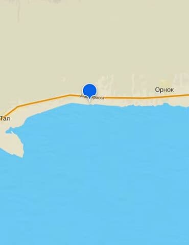 сдается дом на иссык куле: 15 соток, Для бизнеса, Красная книга — 1