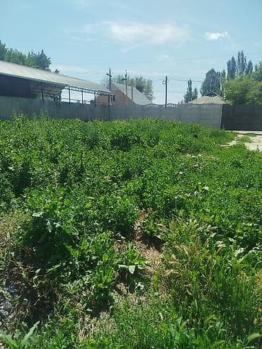 пгт ивановка: Продаются дом 4 комнаты 10 сотых дорога асфальт центральный (конз-ця) — 3