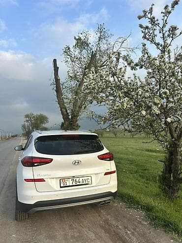 sprinter cdi: Hyundai Tucson: 2019 г., 2 л, Автомат, Дизель, Кроссовер — 9