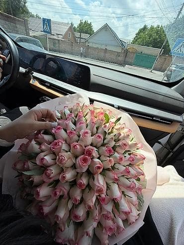 Букет из розово-белых роз (моно-букет). - Состав: розы двухцветные lalafo.kg да Букет из розово-белых роз (моно-букет). - Состав: розы двухцветные