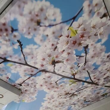 бетон м200 цена с доставкой бишкек: Натяжной жазайбыз 
3d натяжные потолки 
от 1000 сомов 
Бишкек чуй — 4