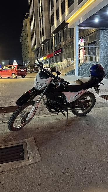 Эндуро 250 куб. см, Бензин, Взрослый