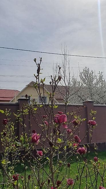 4 bedroom: Уютный частный дом с озеленённым двором и крытыми террасами готов к — 8