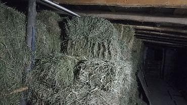 листовая подкормка: Сено в тюках - Прессованные прямоугольные тюки, плотная увязка — 2
