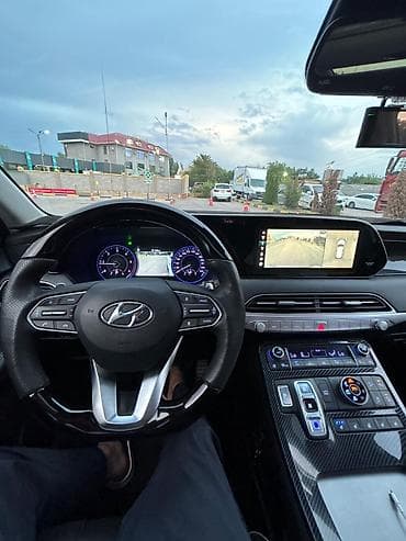 e 302: Hyundai Palisade: 2019 г., 2.2 л, Автомат, Дизель, Кроссовер — 10