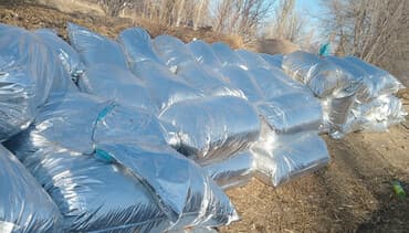 шкафы кухонный: Силос 1 мешок 100 кг эрлан — 1