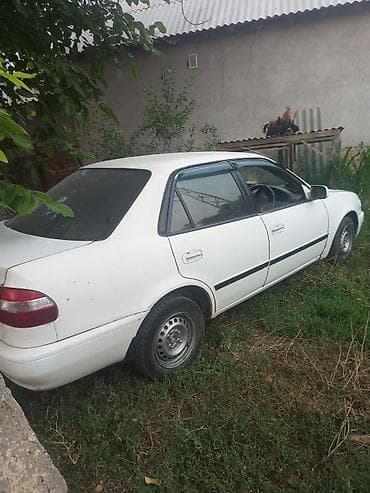 палировка авто: Toyota Corolla: 2000 г., Автомат, Седан — 4