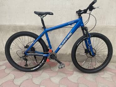 купить трехколесный электровелосипед для взрослых бу: Горный велосипед, Б/у — 1