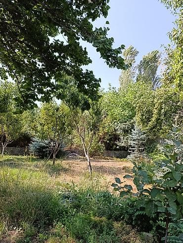 загородный дом с бассейном: Продаётся дачный дом с участком и садом. - Кирпичный одноэтажный дом — 3