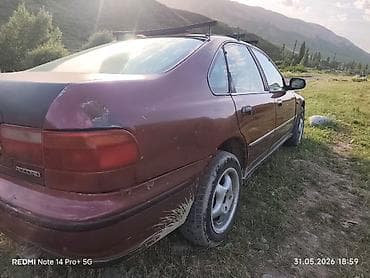 хонда аккорд багажник: Honda Accord: 1993 г., 2.2 л, Механика, Газ, Седан — 3