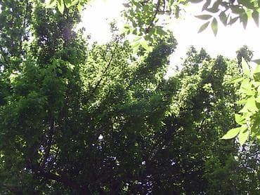 фотик мыльница: Цифровая камера RoverShot RS-3000z в комплекте карта памяти - — 3