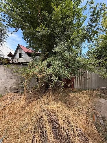 Дома: 🌿 Продается земельный участок! 📍 Село Кожомкул{Военно Антоновка] — 1