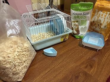 Аламанчыктар (хомяки): Писать только на ватсап не звонить Подходит для джунгарского — 1