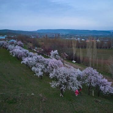 услуги реалтора: Фотосъёмка, Видеосъёмка | Ордуна баруу менен | Иш-чараларды тартуу, Love story, Фотосессия — 16