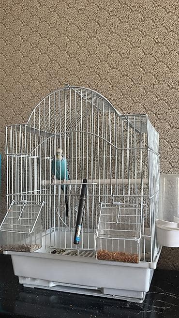 Продам 1000 с район Кызыл Аскер