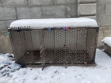 яицо дакана: Ушул клетка сатылат 1000 сом — 2