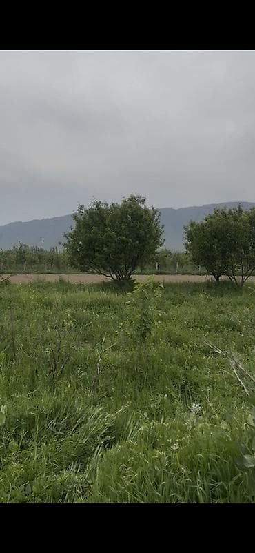 42 соток, Для сельского хозяйства, Красная книга