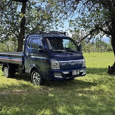 wuling mini ev: Легкий грузовик, Hyundai, Стандарт — 9