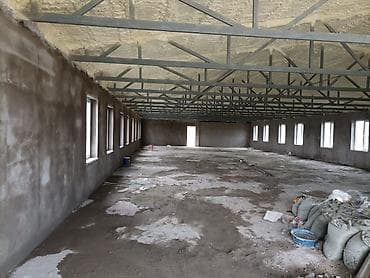 Ички жасалга: Дубалдарды шыбоо 3-5 жылдык тажрыйба — 9