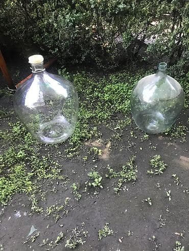 дубовая: Бутылки, Б/у, Самовывоз — 1