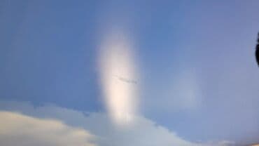 пластиковые панели на потолок фото и цена бишкек: Натяжной потолок Матовое, Глянцевое — 25