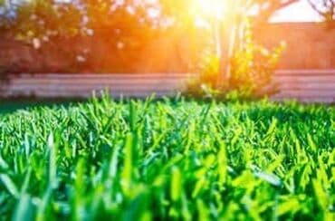 клей газон: Газон под ключ! Продаём и укладываем рулонный газон. Доставка — 3