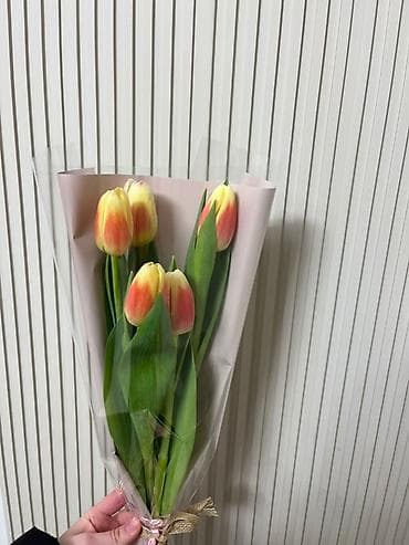 бахрома: Тюльпаны в индивидуальной упаковке - Ассортимент: однотонные и — 8