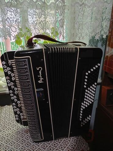 аккордеон вельтмейстер цена бу москва: Баян рубин-5» (кнопочный) - Корпус: классический черный — 1
