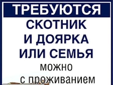 Работа: Вакансия: скотник и доярка (возможен вариант для семьи). Описание — 1