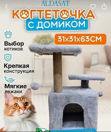 Когтеточка с домиком ALDASAT После покупки почти не at lalafo.kg Когтеточка с домиком ALDASAT После покупки почти не