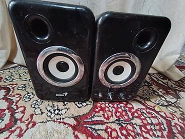 Акустическая система Genius (2.0) - Формат: стереопара 2.0 - Корпус