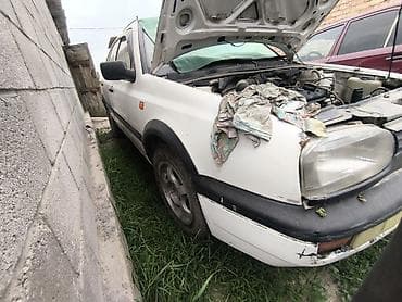 Volkswagen Golf: 1995 г., 1.4 л, Механика, Бензин, Хэтчбэк