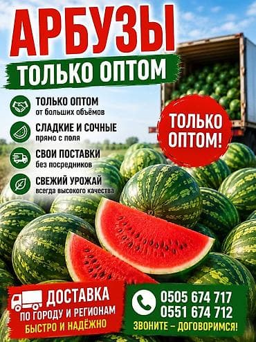 Доставка арбуза в любом количестве в любую точку города Бишкек от 10