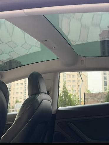 Tesla: Tesla Model 3: 2021 г., 5 л, Автомат, Электромобиль, Седан — 8