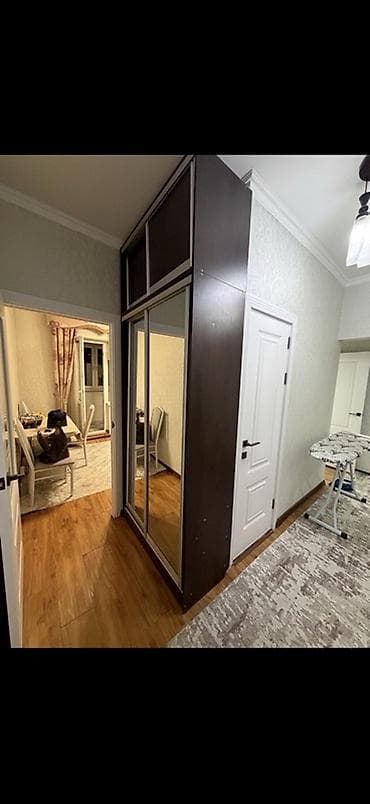 Шкаф купе, С зеркалом, ЛДСП