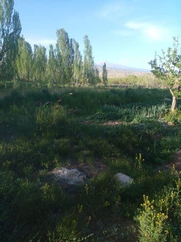 уборка садового участка: СРОЧНО ПРОДАЮ участок 1,5гаили меняю на квартиру в Бишкеке. Участок — 2