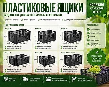 Упаковочные товары: Пластиковый ящик для фруктов, овощей и ягод - любые размеры и любые — 3